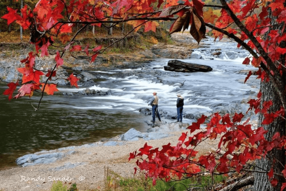 Two people stand by a river, surrounded by vibrant red autumn leaves.